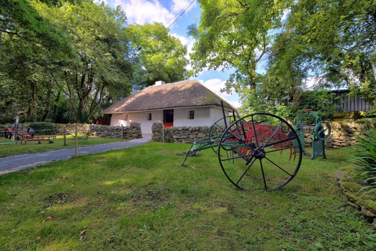 Silken Thomas Accommodation Kildare Exterior foto