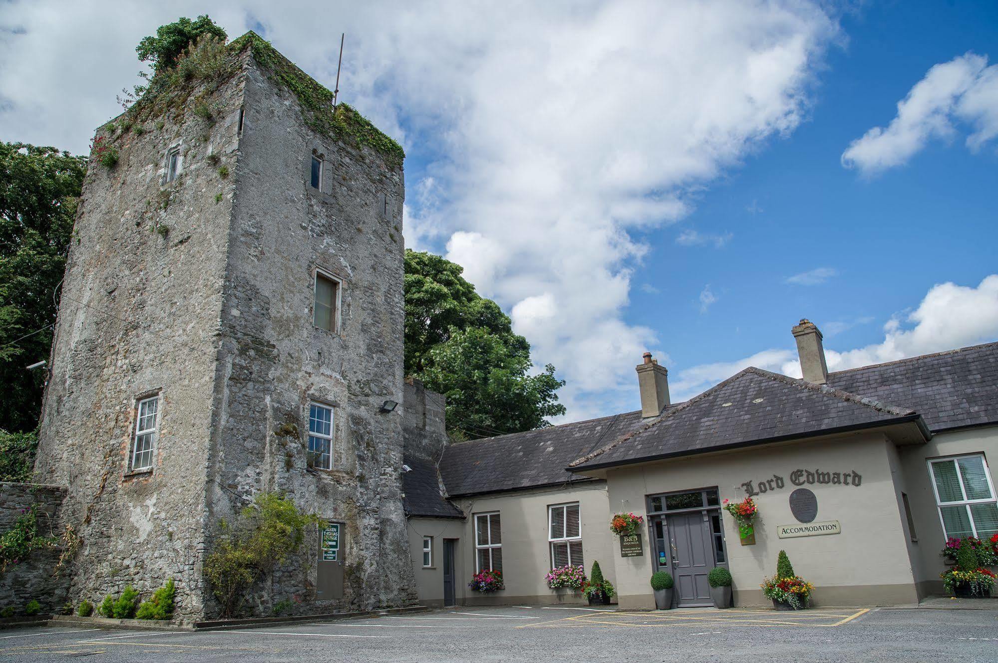 Silken Thomas Accommodation Kildare Exterior foto